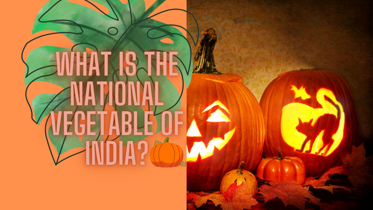 What is The National Vegetable of India?