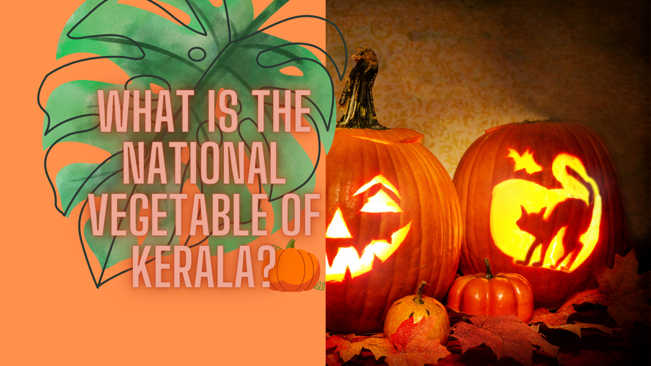What is The National Vegetable of Kerala?